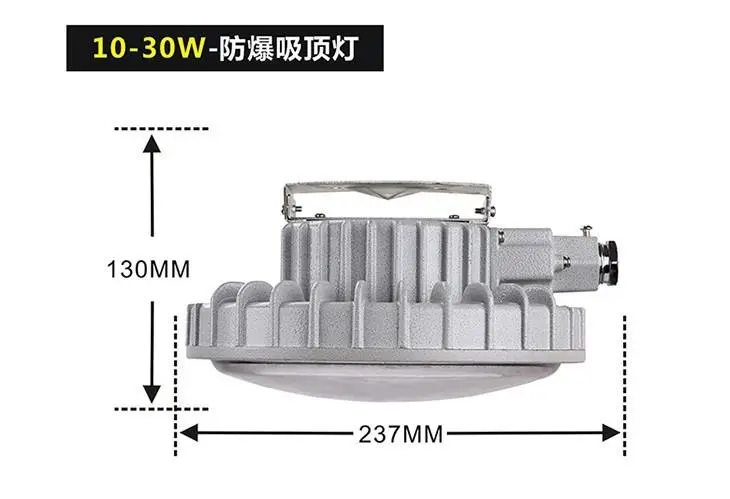 BZD131LED防爆頂燈