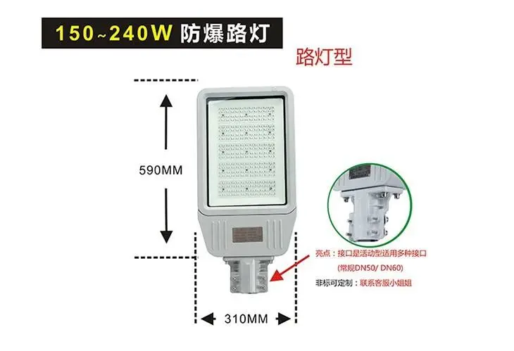 新款BZD129防爆道路燈II型